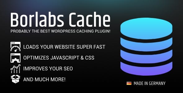 Borlabs Cache.jpg