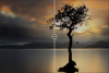 franzis_denoise_projects-768x509.png franzis_denoise_projects-768x509.png