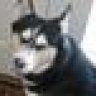 bayil